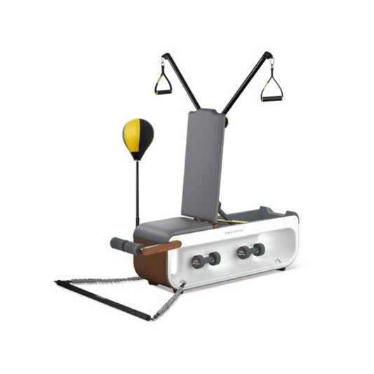 King Smith Multifunctional Fitness Bench - FBB1C - Black-Gray