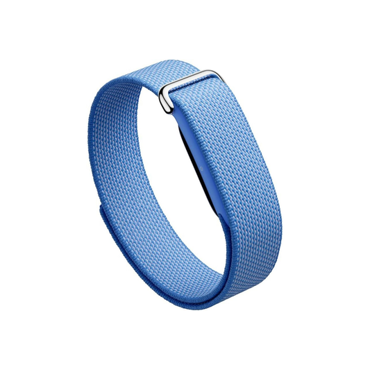 Google Fitbit Air - Lavender