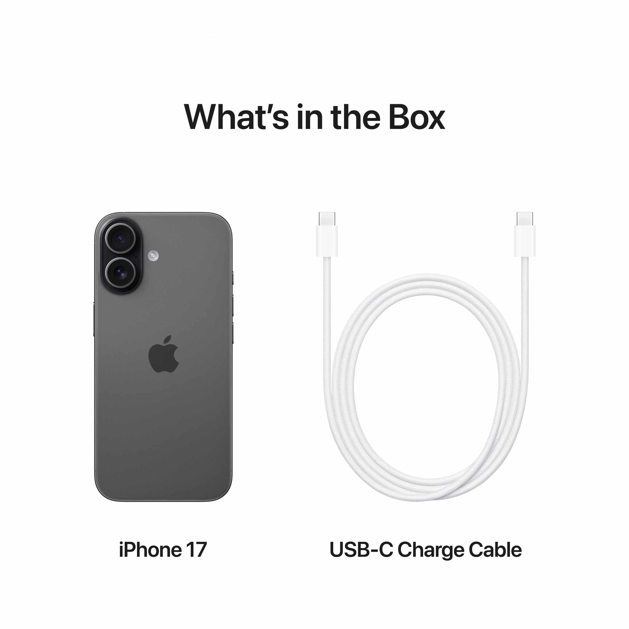 Apple iPhone 17 256GB Black - Middle East - Digits | Apple